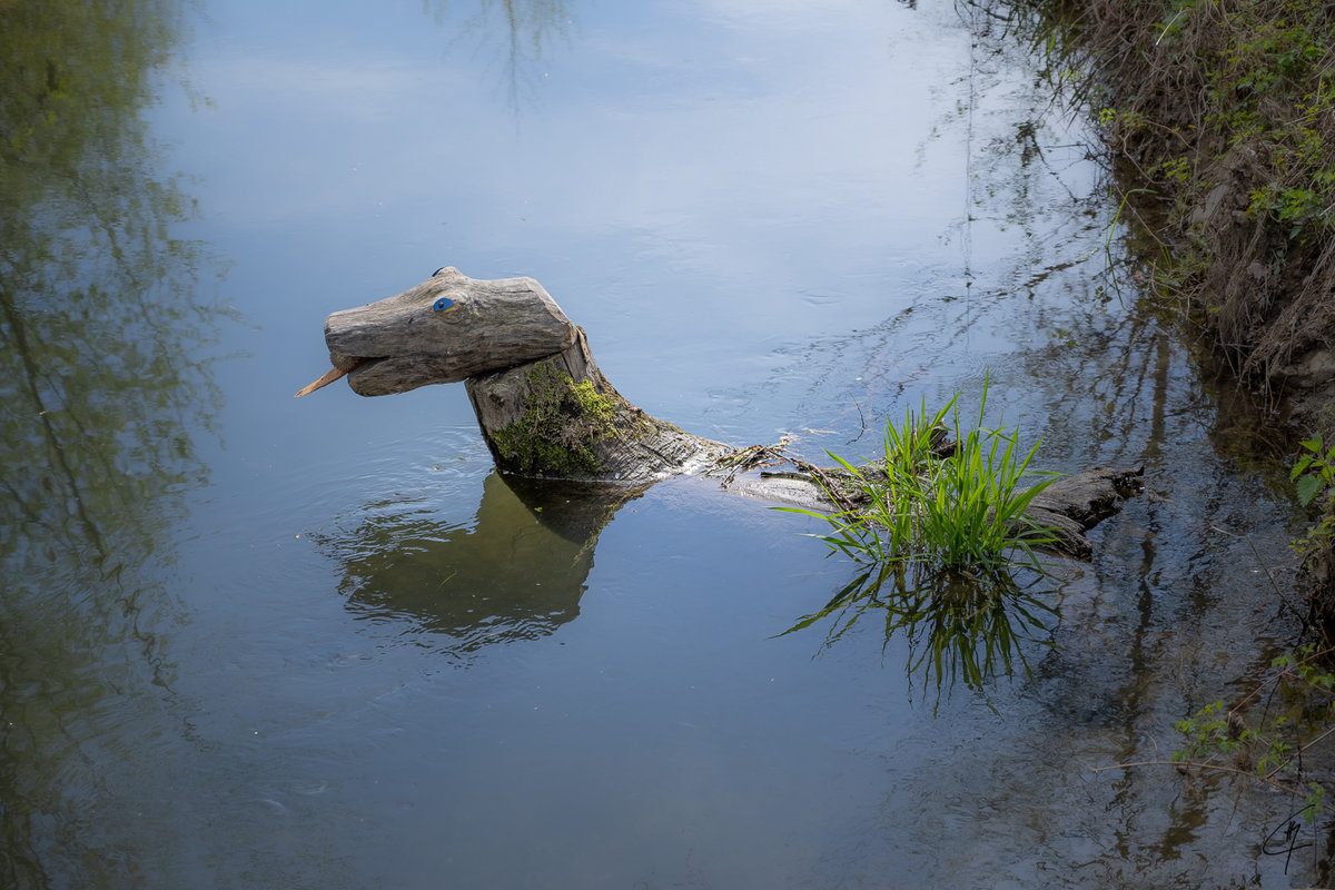 Z7H_1092.jpg