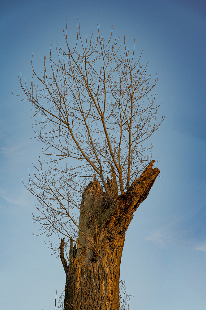 Z7H_1432.jpg