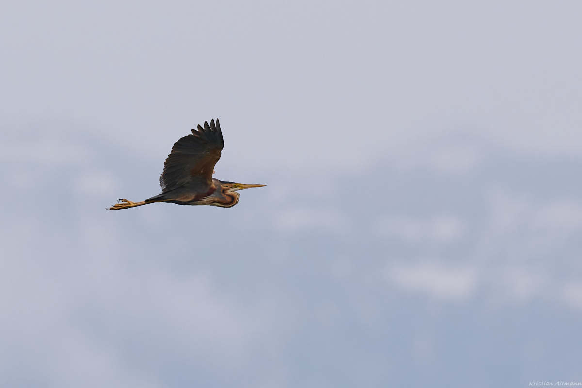 Z7II_400_2.8-DSC_1120.jpg
