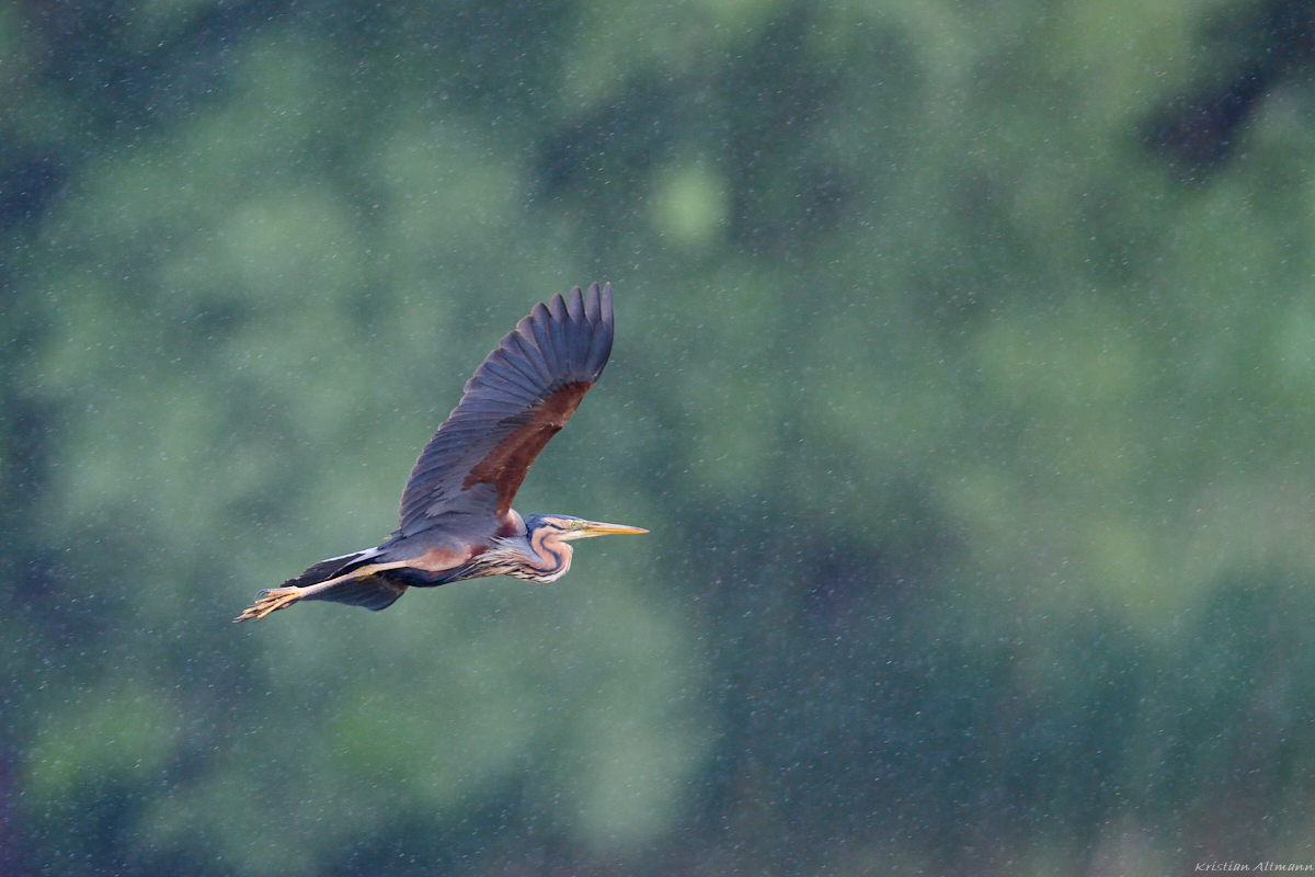 Z7II_400_2.8-DSC_1266.jpg
