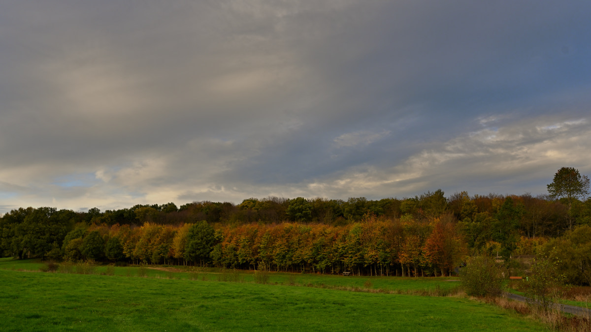 Z7R_5012.JPG
