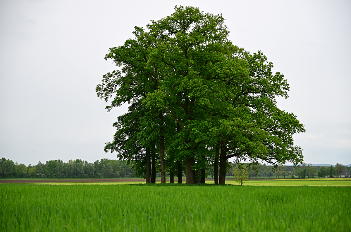 full