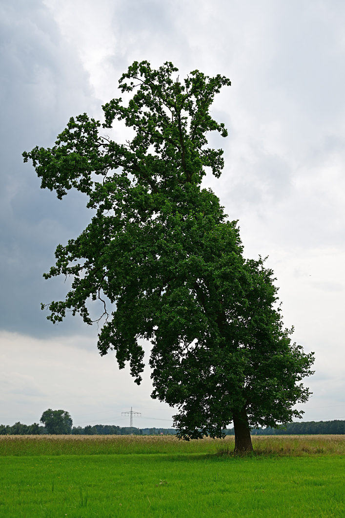 Z8A_0249t30l10s45p1.jpg