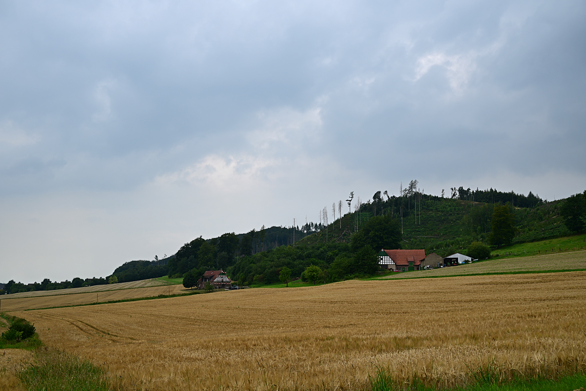 Z8A_0262t1l5s45p1.jpg