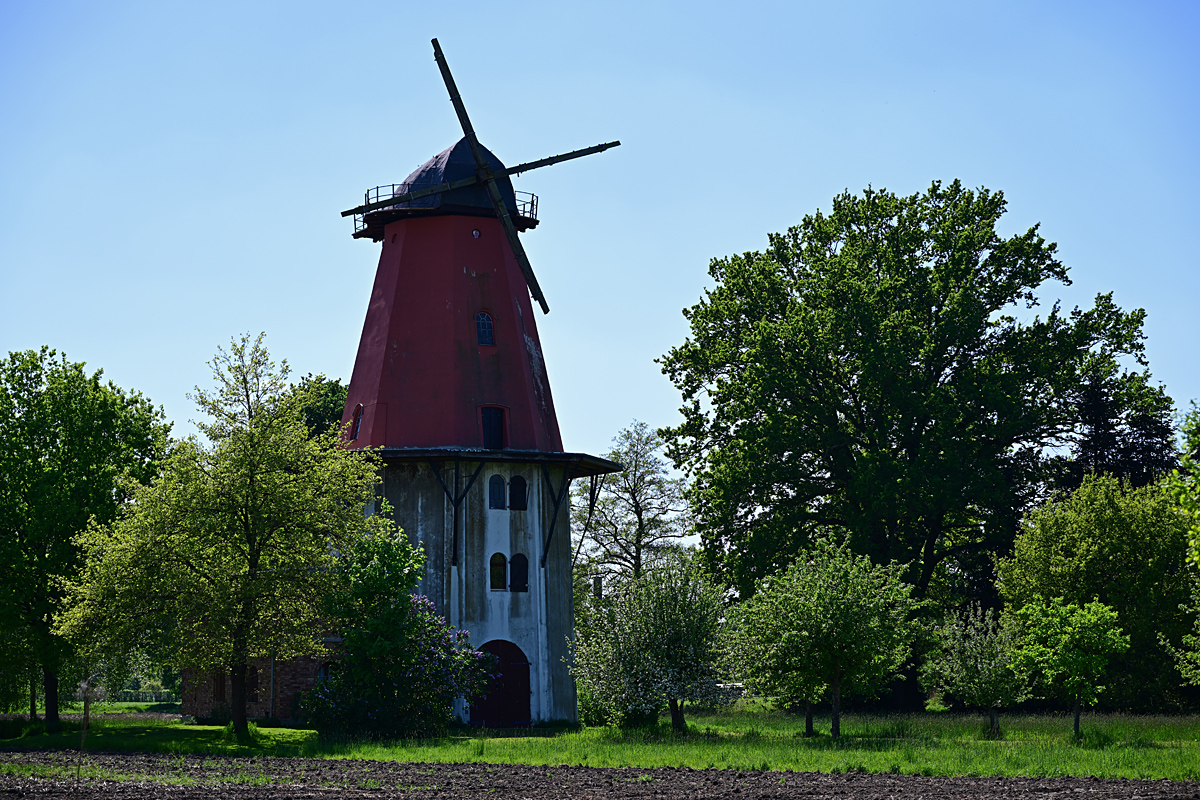Z8A_0708t5l5s40p1.jpg