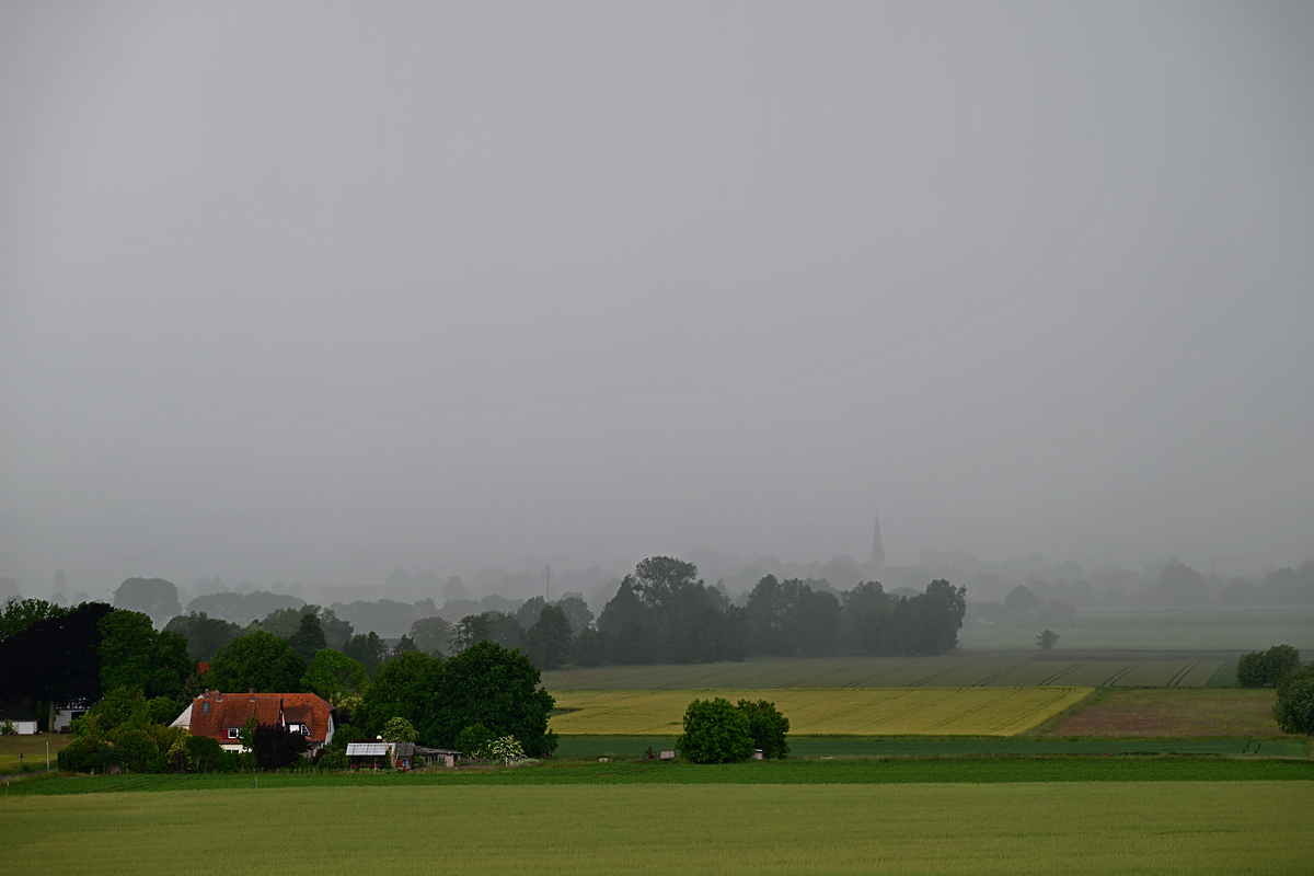 Z8A_0766t0l5fks40p1.jpg