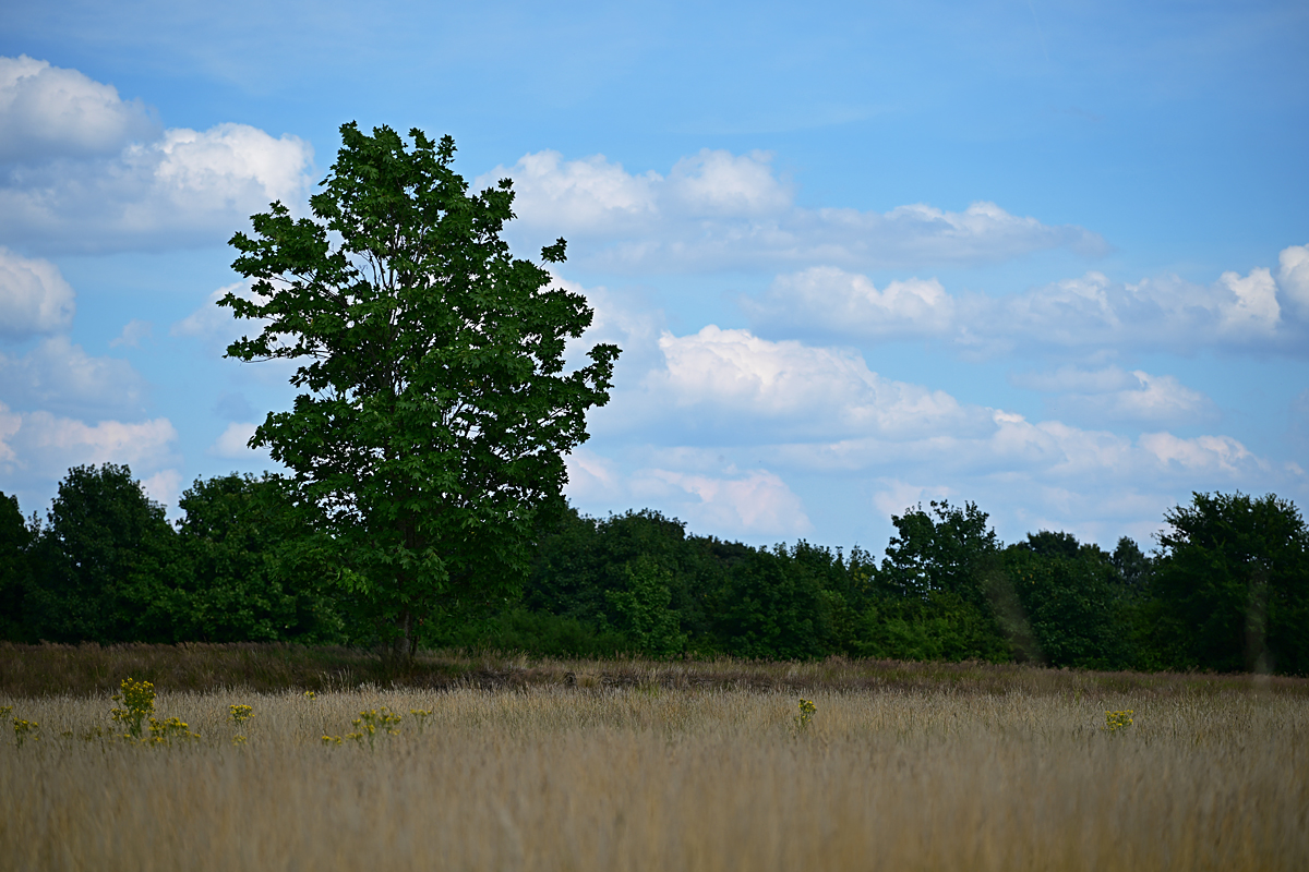 Z8A_0904t5l5fks40p1.jpg