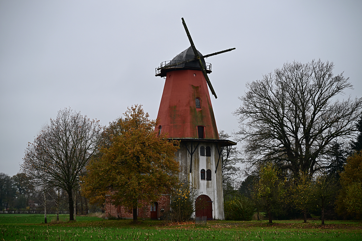 Z8A_1190t2l5s40p1.jpg