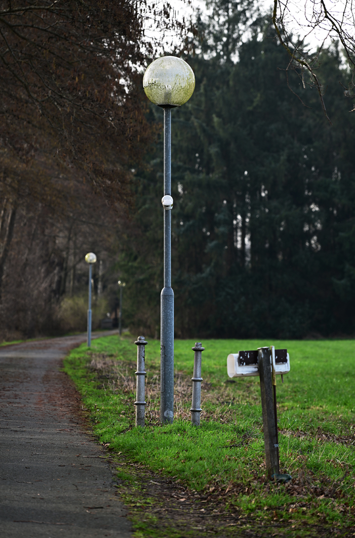 Z8A_1404fks40p1.jpg