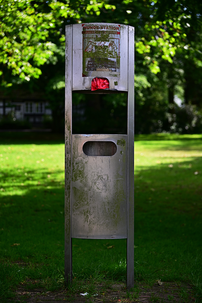 Z8A_1975t1l3fks40p1.jpg