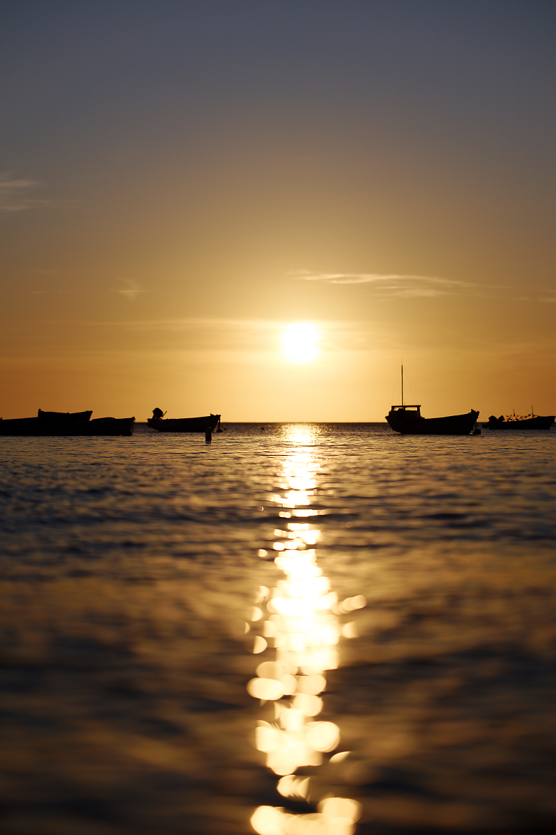 Z8A_6517.jpg