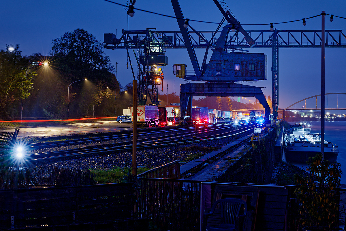 Z8C_2308.jpg