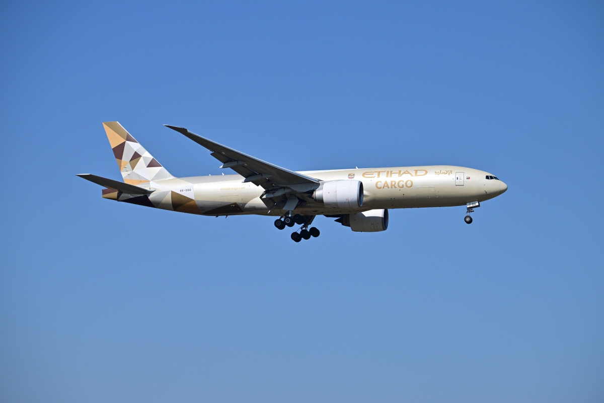 Z90_7229.jpg