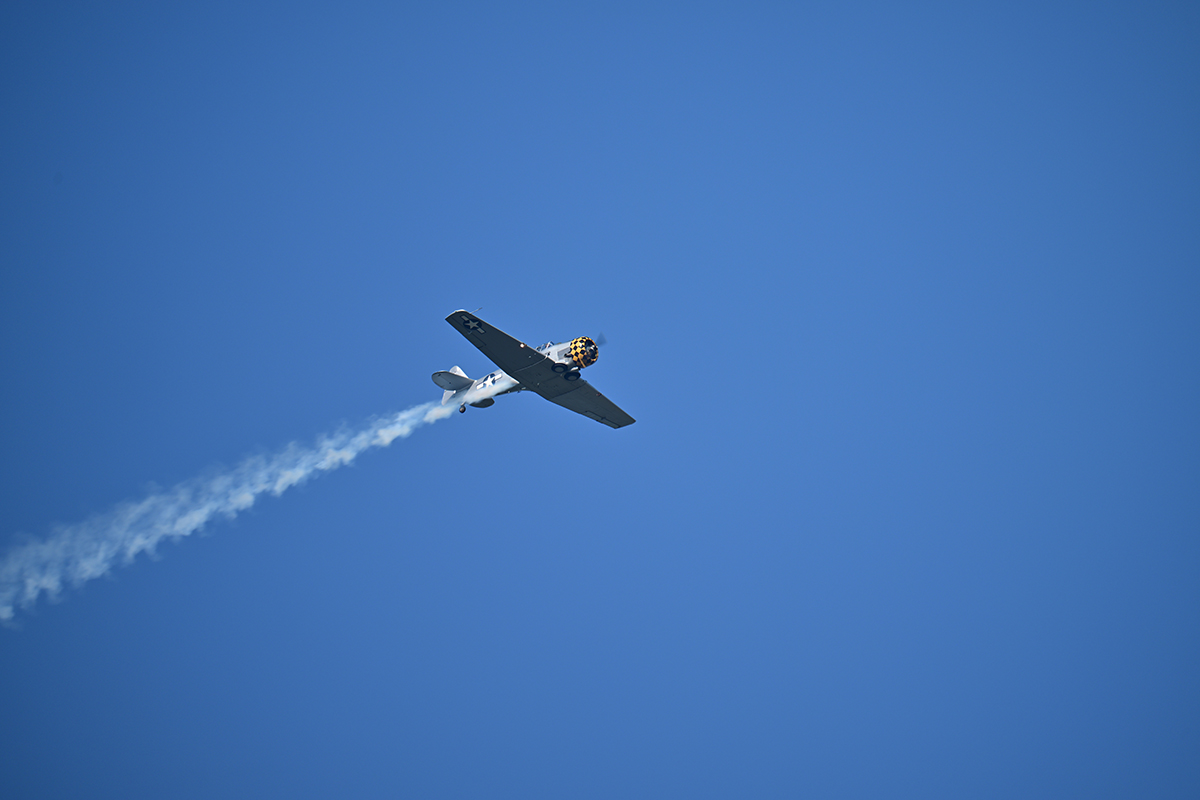 Z95_5560.jpg