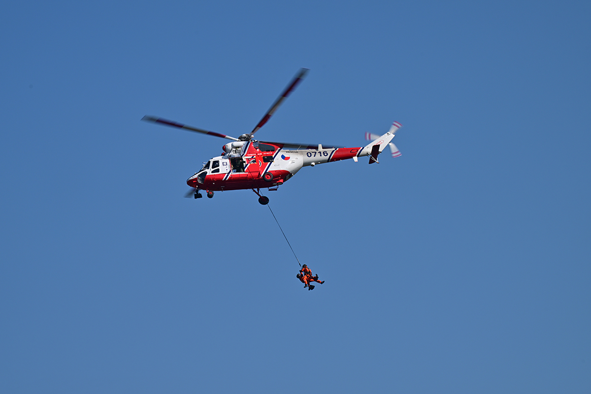 Z95_6175.jpg