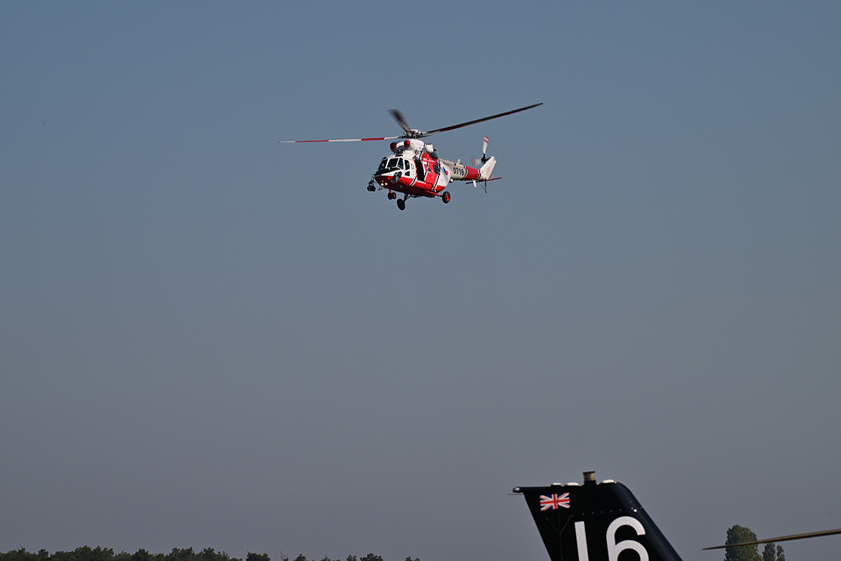 Z95_6213.jpg