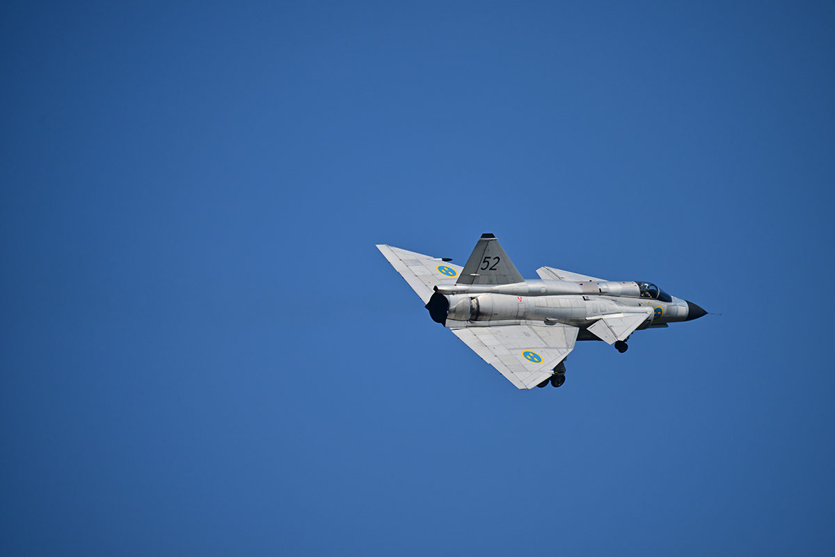 Z95_6505.jpg