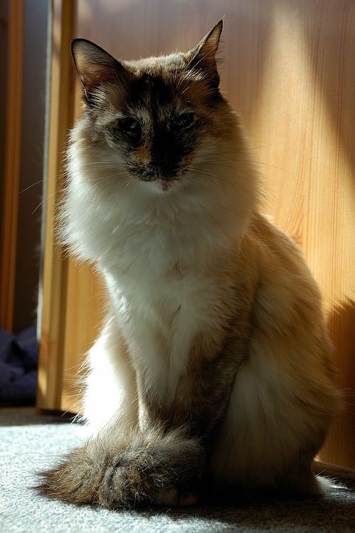 Zarina01