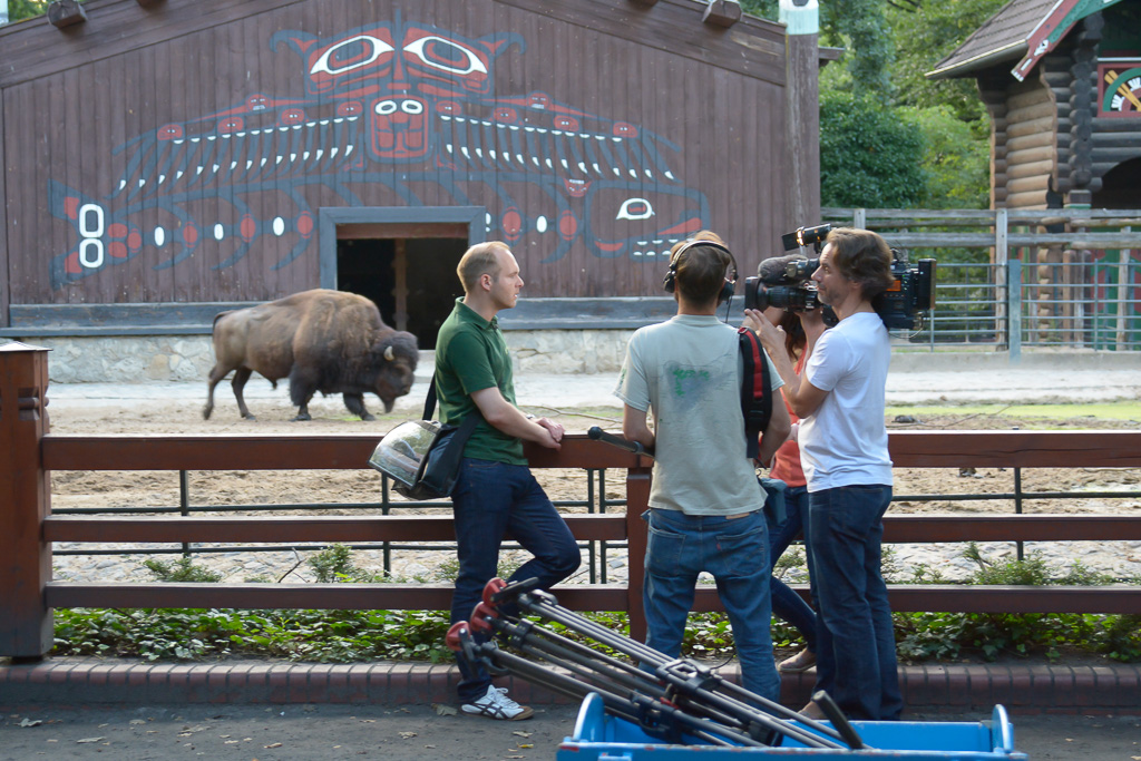 ZDF Interview im Berliner Zoo
Abendspaziergang