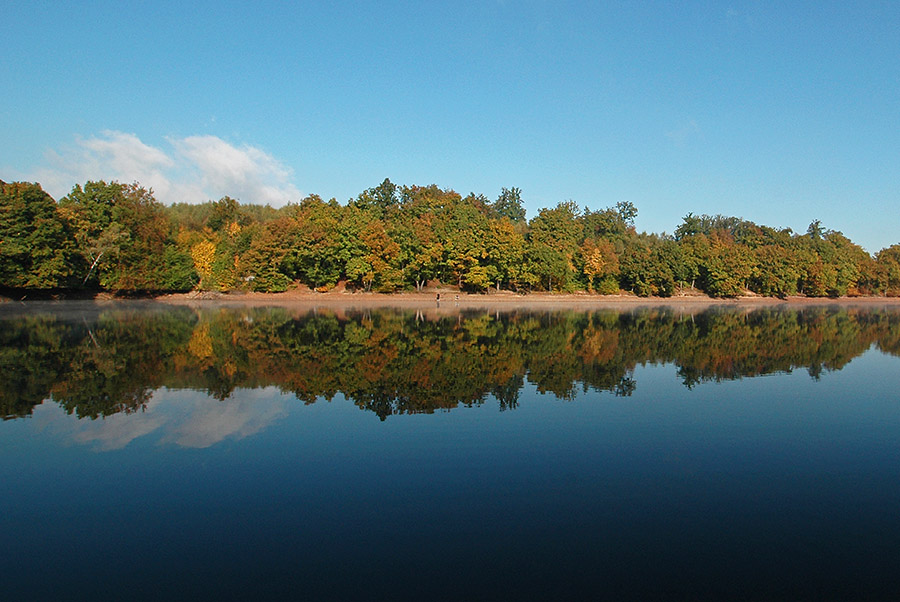 Zeigt her Eure Herbstimpressionen
# 229