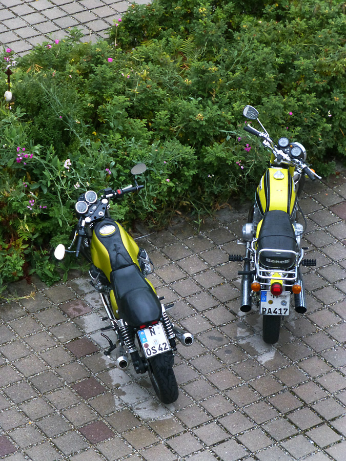 Zeilarn 2014 11