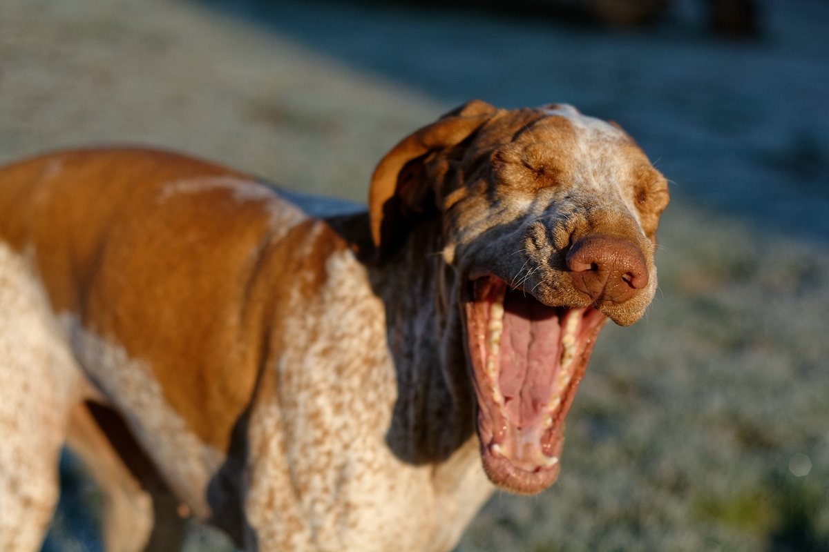 Zeit für den Winterschlaf