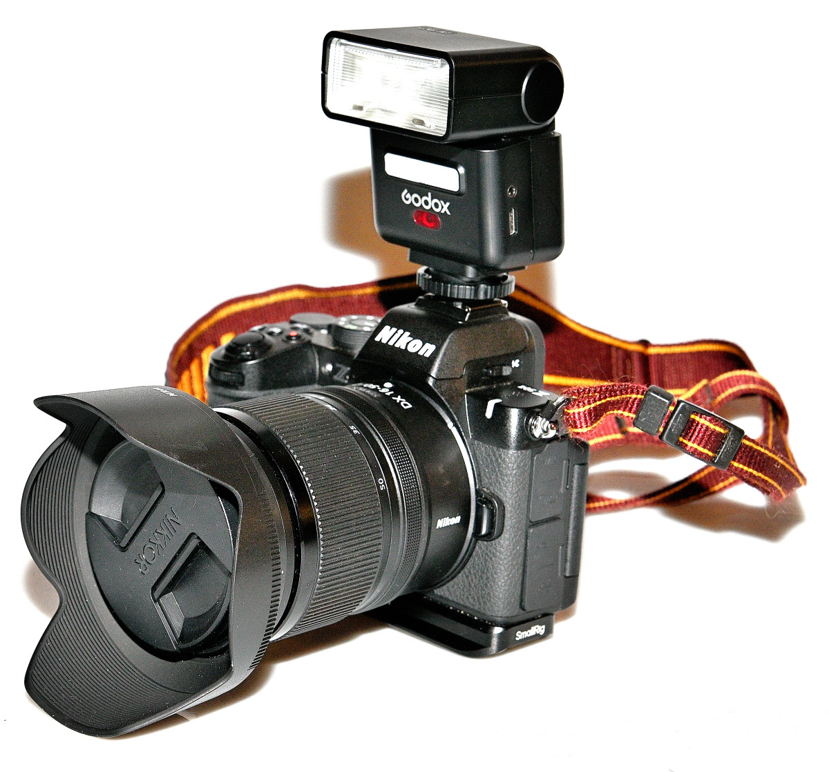 ZF1_9822.JPG