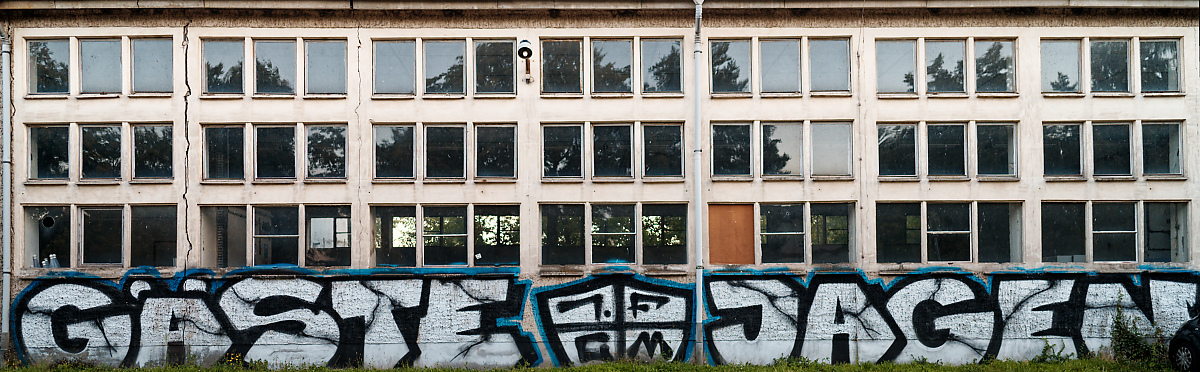 ZFF_0370_2.jpg