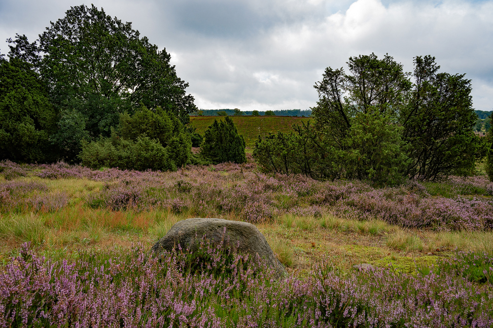 ZHG_0427.jpg