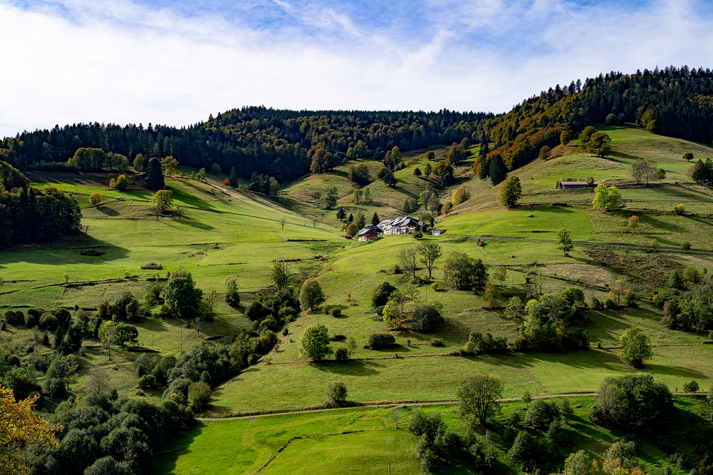 ZHG_0627.jpg