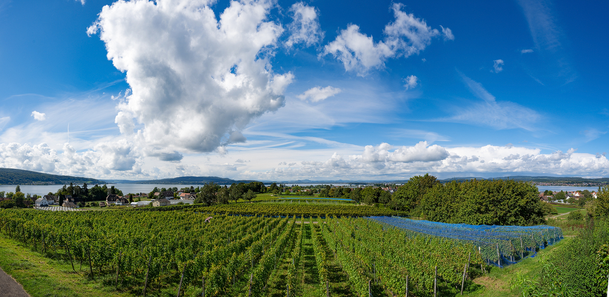ZHG_2178-Bearbeitet.jpg