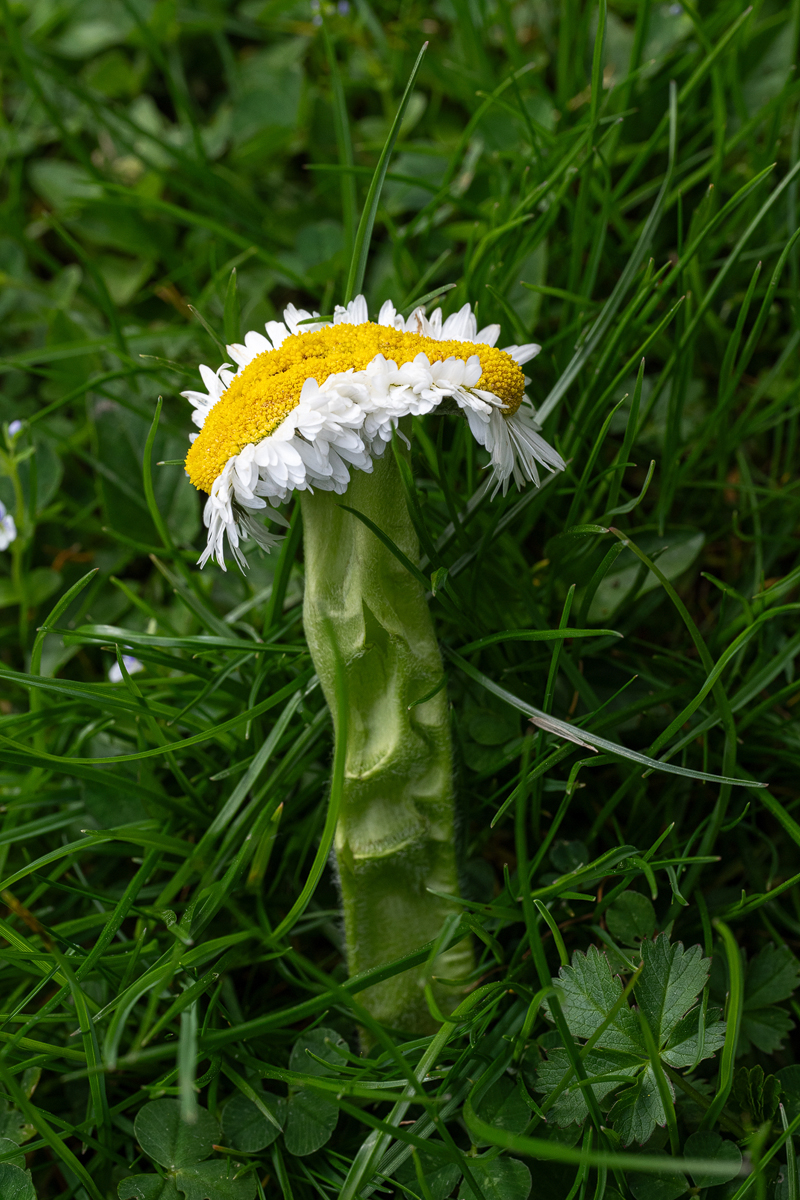 ZHG_3924.jpg