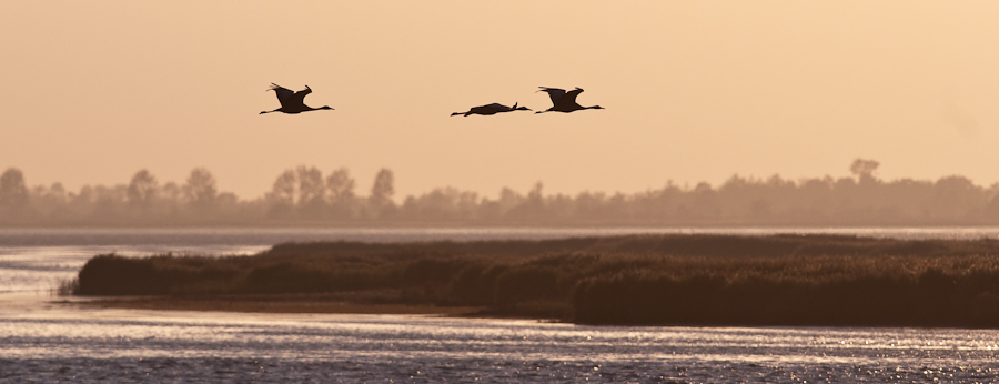 zingst 6 0088