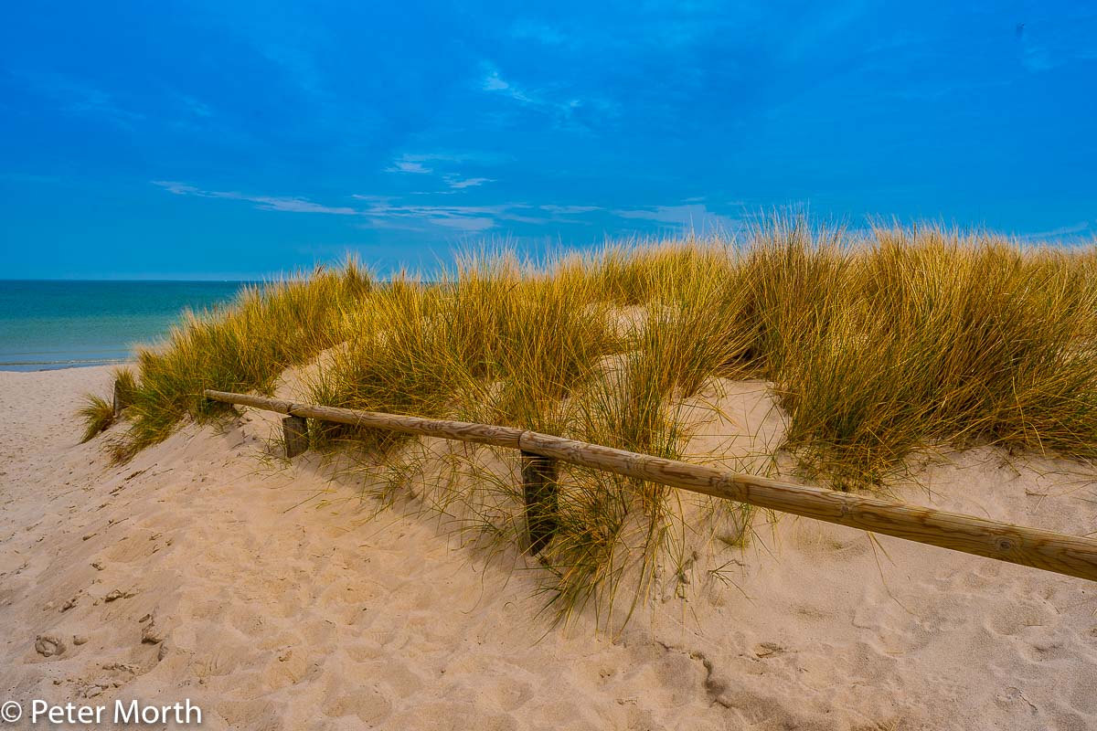 ZIngst 7304