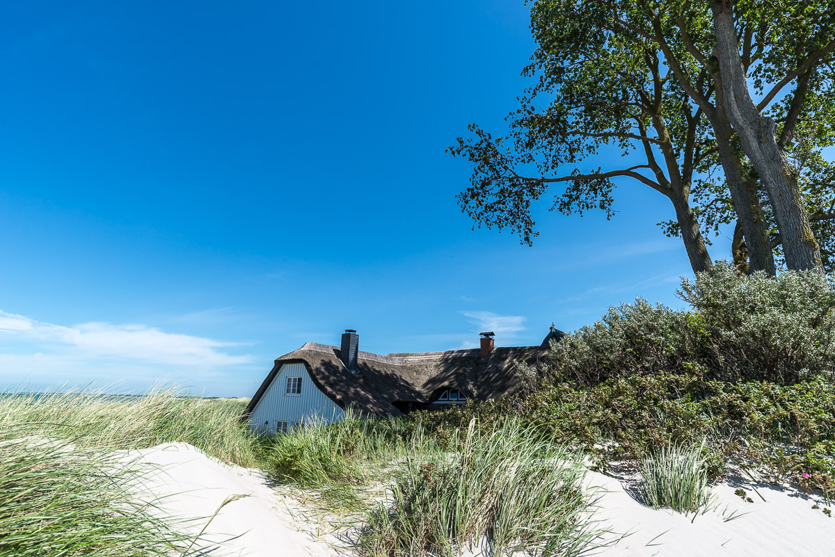 Zingst NFF 11
