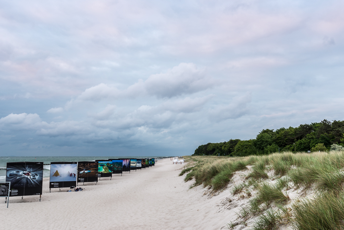 Zingst NFF 3