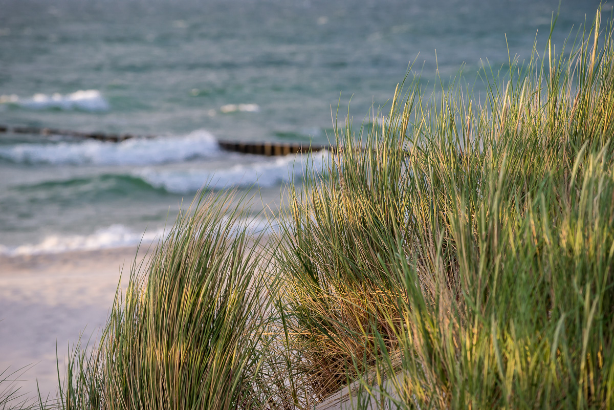 Zingst NFF 4
