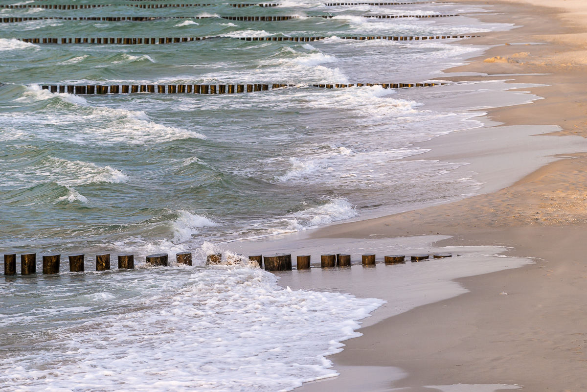 Zingst NFF 5