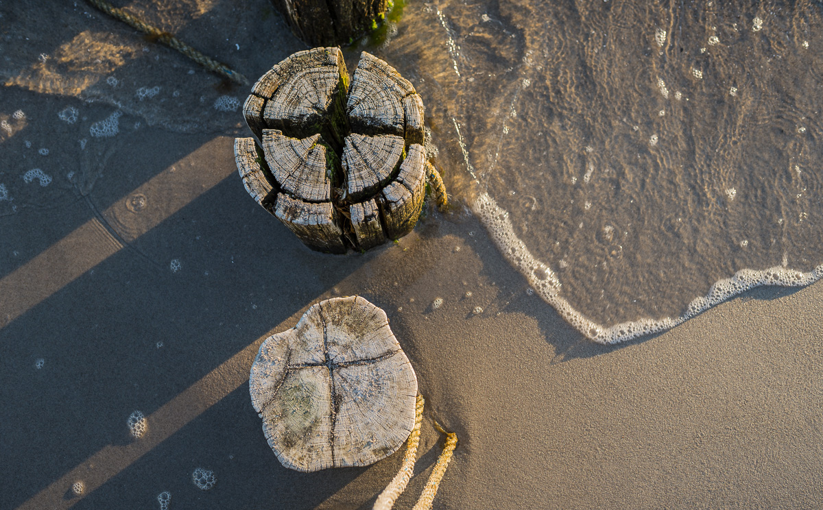 Zingst NFF 6