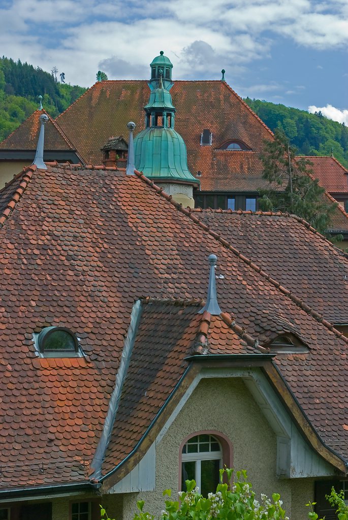 Zipfeltreffen Laufenburg
comp DSC 7707 Kopie