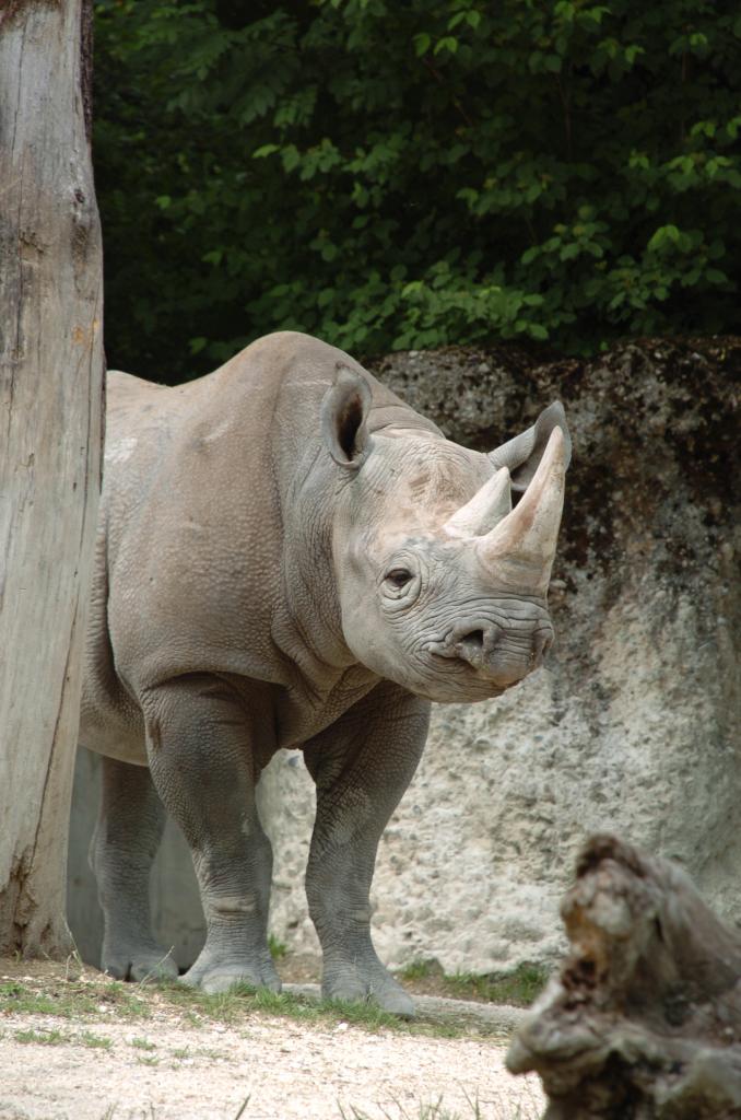 zoo 12.6.09 157