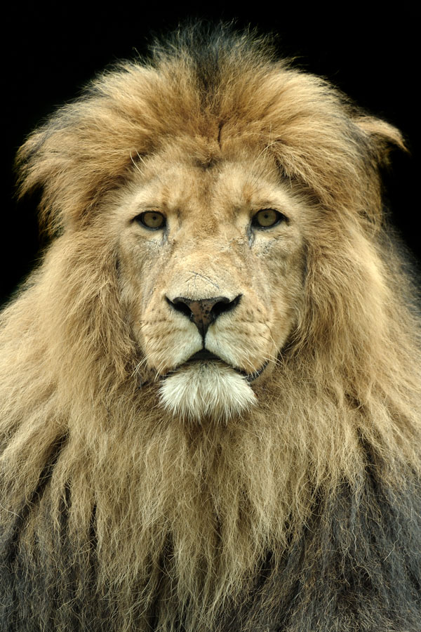 Zoo 20