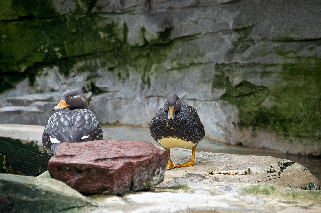 Zoo am Meer in Bremerhaven