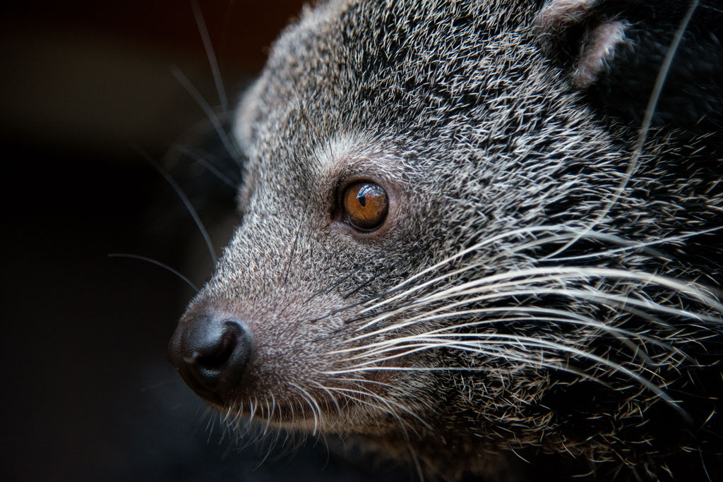 zoo darmstadt 2