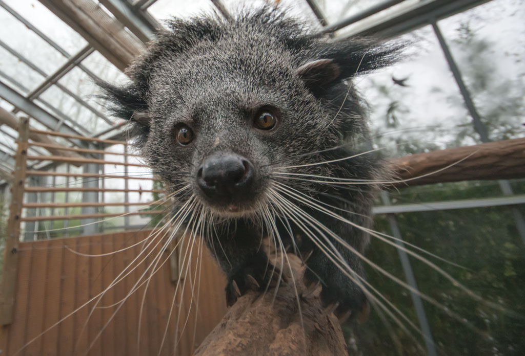 zoo darmstadt 5