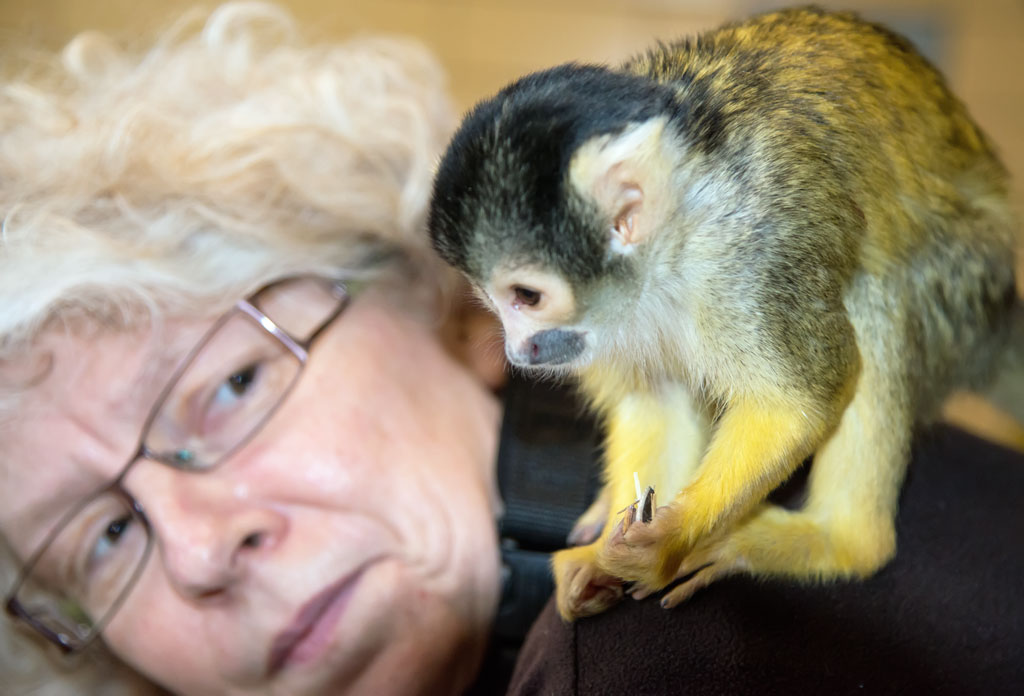 zoo darmstadt 6
