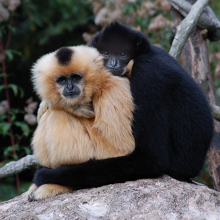Zoo DSC 0442