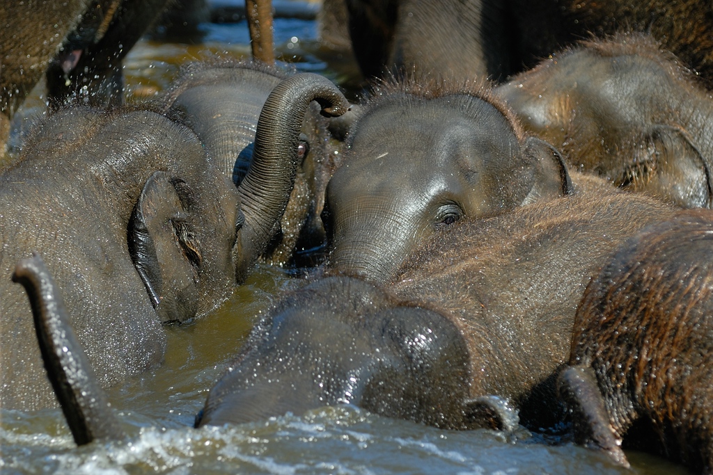 zoo DSC 3762