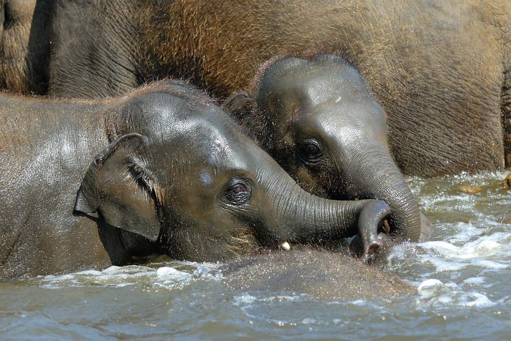 zoo DSC 3778