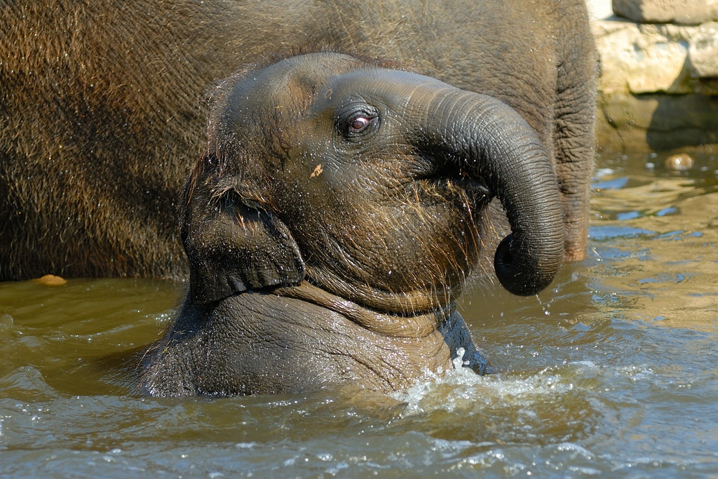 zoo DSC 3784